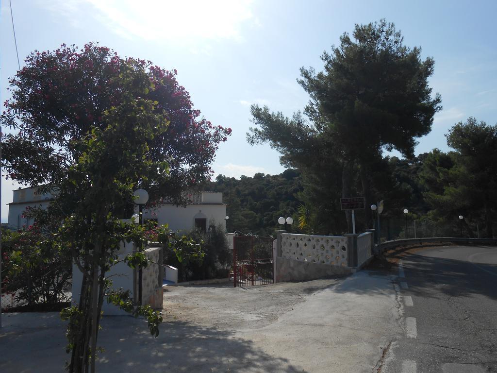 Hotel Godenizzo 3*